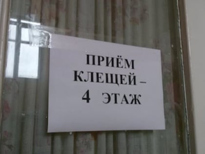 10,3 тысячи атак клещей зарегистрировано в Нижегородской области к октябрю