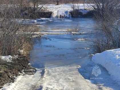 Низководный мост затопило в Починковском районе