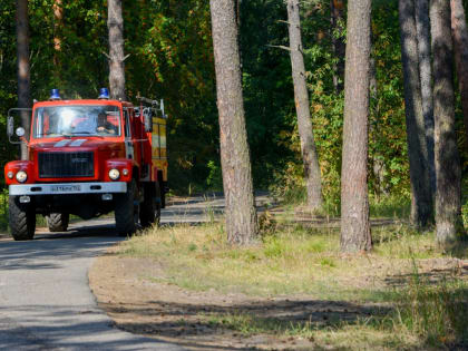 Патрулирование городских лесов усилено в Нижнем Новгороде