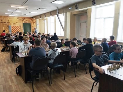 Александр Терентьев: «Всех успокоили: вопрос реорганизации спортивной школы имени Анатолия Карпова не рассматривается».