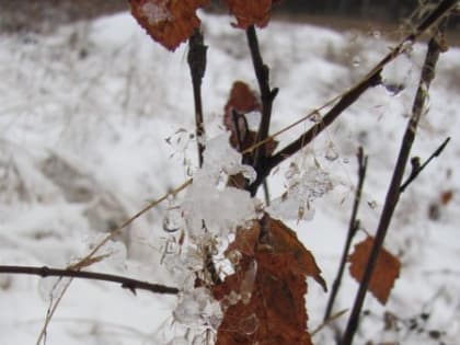 Потепление до 0°С и снег с дождем ожидаются в Нижнем Новгороде 9 марта