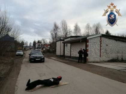 В Павловском районе Нижегородской области женщина признана виновной в убийстве мужчины и управлении автомобилем в состоянии алкогольного опьянения