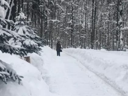 Небольшой снег и до -6 градусов обещают в Нижнем Новгороде 19 марта