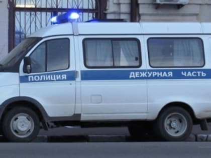 Полиция заинтересовалась массовой дракой мигрантов в Нижегородском кремле