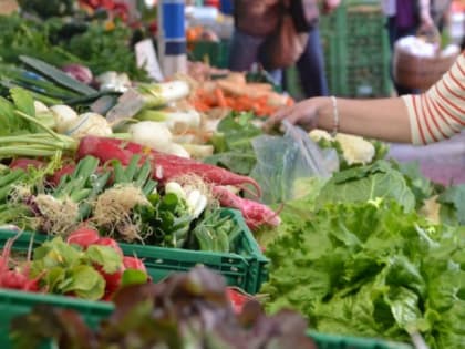 Нижегородская ярмарка стала стимулом для формирования предпринимательских династий