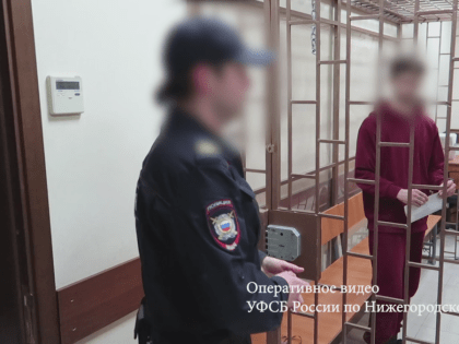 Арестован нижегородец, собравшийся воевать против России