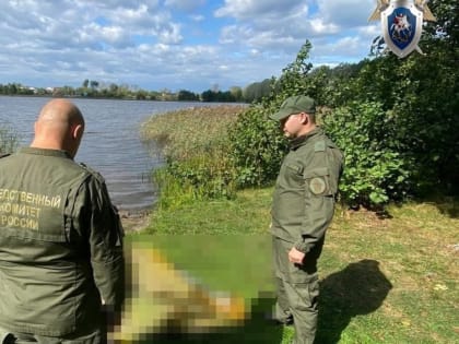 Гибель нижегородского ребенка привела к уголовному делу