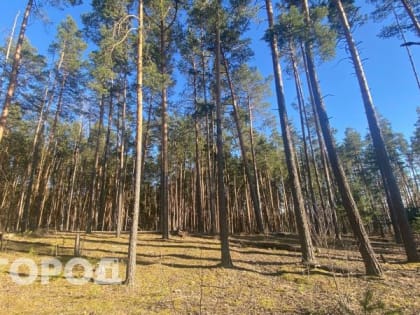 МЧС предупреждает об особой опасности в Нижегородской области