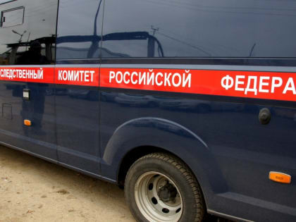 Нападение на нижегородского ребенка заинтересовало следователей