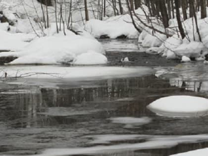 Друзья пропавшего в Кстовском районе мальчика скрывали возможную гибель на Волге
