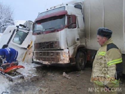 Лобовое столкновение молоковоза и рефрижератора произошло в Нижегородской области