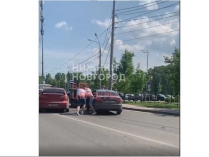 Двое автомобилистов устроили драку у нижегородского зоопарка «Лимпопо»