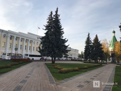 Региональный совет появится в Нижегородской области