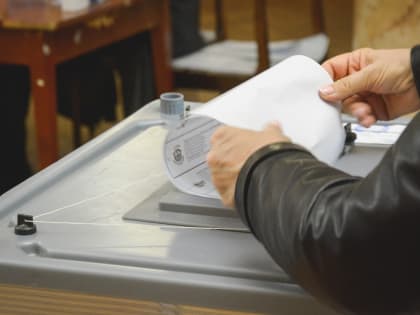 Нижегородцев принуждали к онлайн-голосованию на выборах