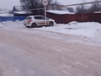 Иномарка сбила ребенка на привязанных к собаке санках в Первомайске
