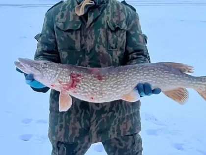 «Бесстрашные». Вот, что достали из реки нижегородцы — размеры находки поражают