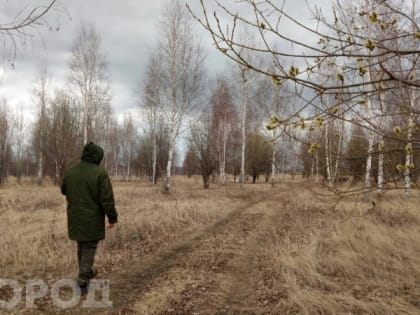 Сезон клещей начался: важные меры, которые спасут вас от серьезных проблем