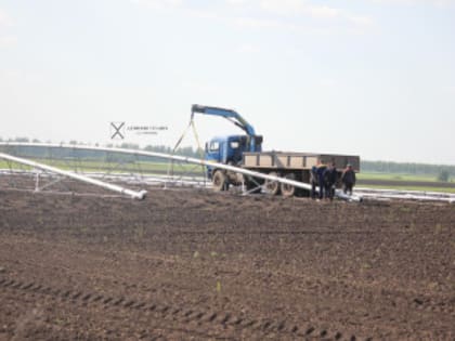 Сельскохозяйственные посевы в Арзамасском округе из-за заморозков практически не пострадали