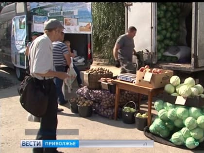 Свинина, баранина и сезонные овощи подешевели в Нижегородской области