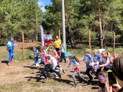 Более 130 дзержинцев присоединились к Всероссийским соревнованиям «Российский Азимут»
