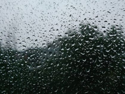 Небольшой дождь и до +23°C ожидаются в Нижнем Новгороде 29 апреля