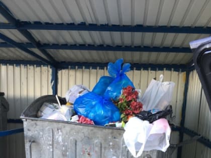 Нижегородский губернатор Никитин поручил разобраться с вывозом мусора в регионе