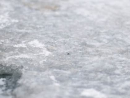 Дождь со снегом и морозы до -6°C обещают в Нижнем Новгороде 7 марта