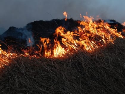 В Нижегородской области за сутки произошло 11 возгораний травы и мусора