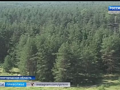 В Краснобаковском районе охотники напали на егеря