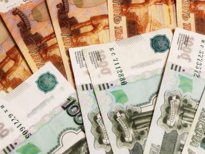 Стало известно, сколько денег нужно нижегородцам для счастья