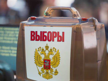 Елена Кузина оспаривает регистрацию тезки на довыборы в нижегородскую думу