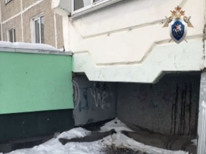 Бросившая внука из окна дома выксунская пенсионерка предстанет перед судом