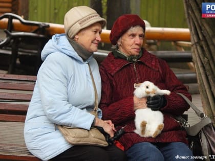 Пенсионеры смогут посетить "Лимпопо" бесплатно