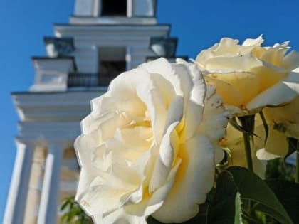 Всенощное бдение в кафедральном соборе города Выкса в день  памяти святых князей Бориса и Глеба.