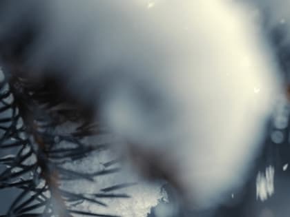 Похолодание до -16 и небольшой снег придут в Нижний Новгород 23 февраля