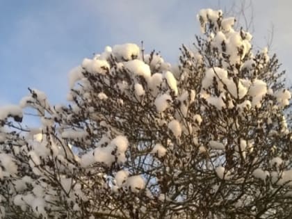 В Нижнем Новгороде на следующей неделе ожидается потепление