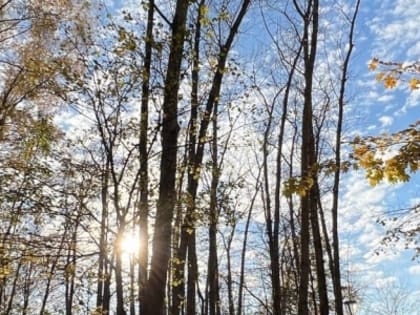 Ясная погода с морозами до -7 °C ожидается в Нижнем Новгороде 18 марта
