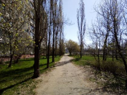 Солнечная погода и до +19°C ожидаются в Нижнем Новгороде 23 апреля