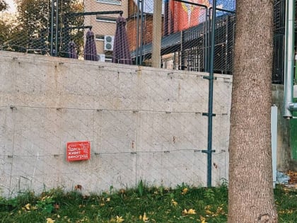 Город-сад! Виноград начнут выращивать в центре Нижнего Новгорода