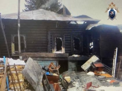 Уголовное дело завели из-за гибели двух пенсионеров при пожаре в Павлове