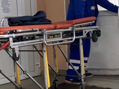 Еще у 388 человек выявили COVID-19 в Нижегородской области за стуки