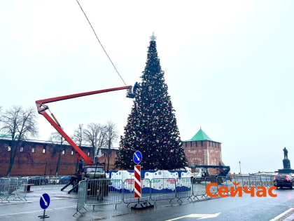 Новогодние ели начнут демонтировать в Нижнем Новгороде с 21 января