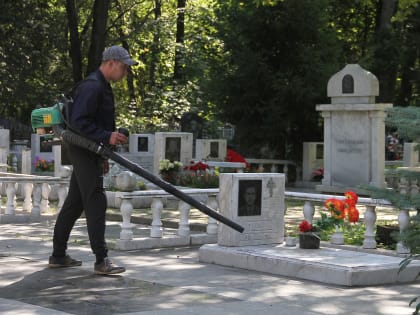 Бесхозные мемориалы и оцифровка: депутаты проверили нижегородские кладбища