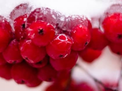 Похолодание до -10 °C и небольшой снег обещают нижегородцам 18 февраля