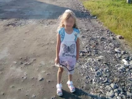 Волонтеры нашли пятилетнюю Зарину Авгонову живой в Нижегородской области