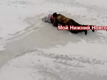 Маленький ребенок чуть не погиб в Нижнем Новгороде