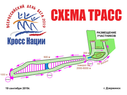 Всероссийский день бега “Кросс Нации-2019”