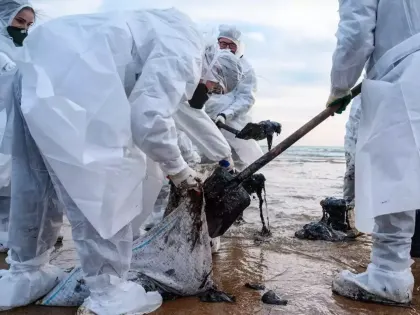 Вывозят тоннами. Чем занимаются нижегородские волонтеры в Анапе