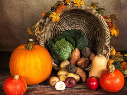 “Осенний завоз”