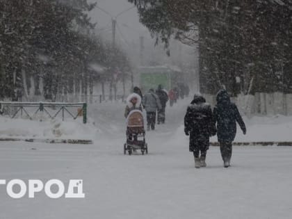 Неблагоприятный циклон принесет в Нижегородскую область бурю уже ночью